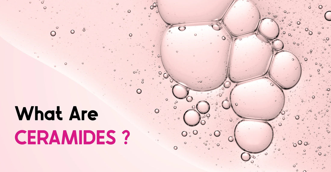 CERAMIDES, what are they?